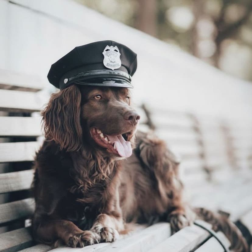 Police