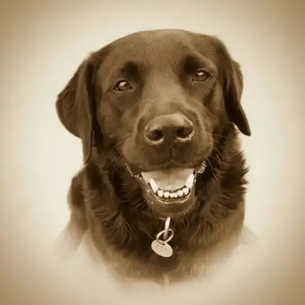 Klassisches Gedenk-Portrait